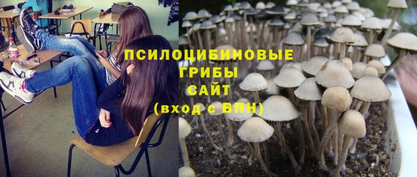 гашиш Аркадак